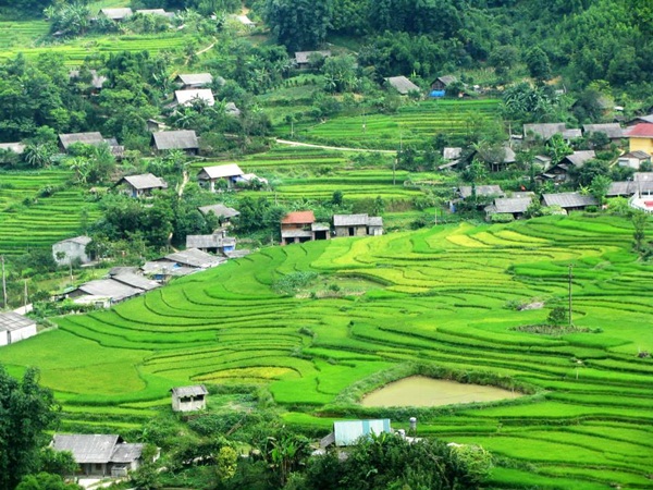 Tour Sapa 3n2đ dịp Tết Âm  2019 khởi hành 03 – 05/01 năm Kỷ Hợi – ngày 07 – 09/02/2019