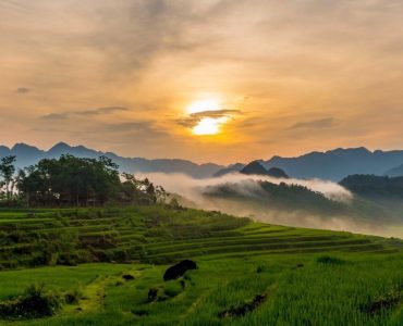 Tour Pù Luông – Khám phá pù luông mùa lúa chín 2 ngày 1 đêm